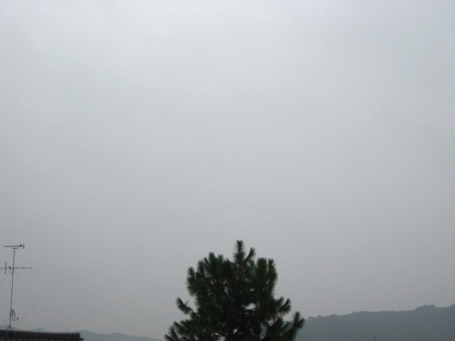 画像: 雨なので