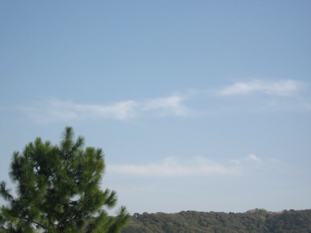 画像: 雲がフワフワ〜