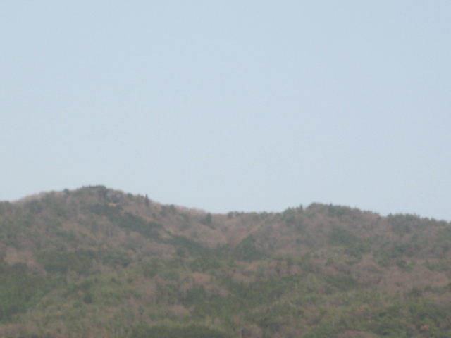 画像: 快晴です。