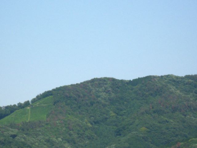 画像: 快晴です。