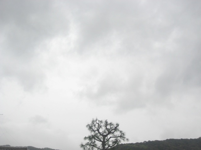 画像: 雨が降って