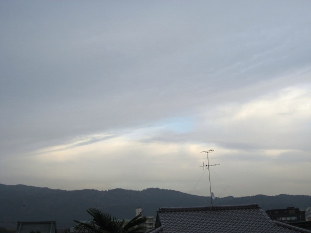 画像: 夕方。。
