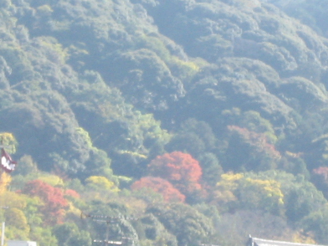 画像: 山はところどころ