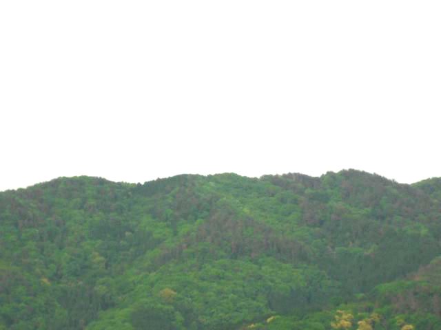 画像: 80000アクセス突破しました。