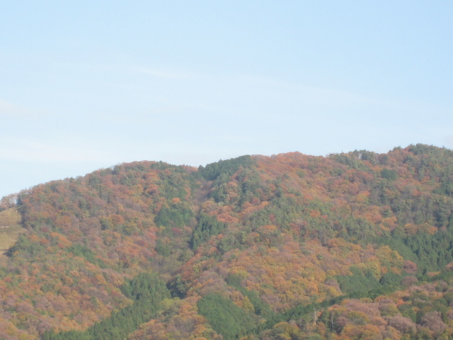 画像: 東の山も