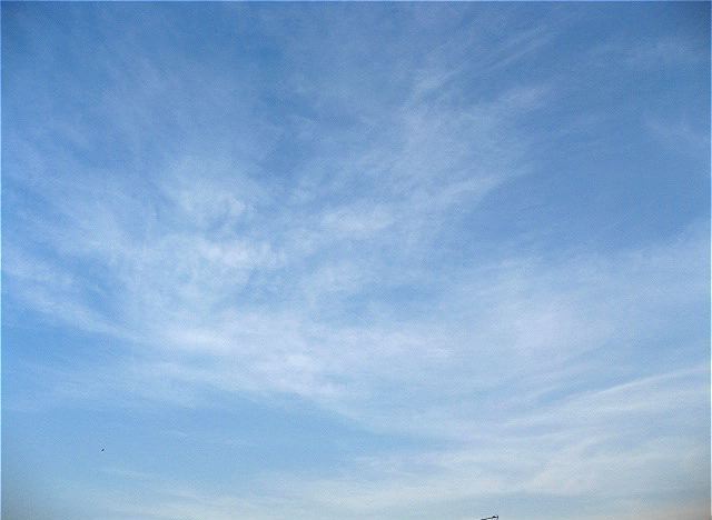 画像: 今日も暖かかったです。