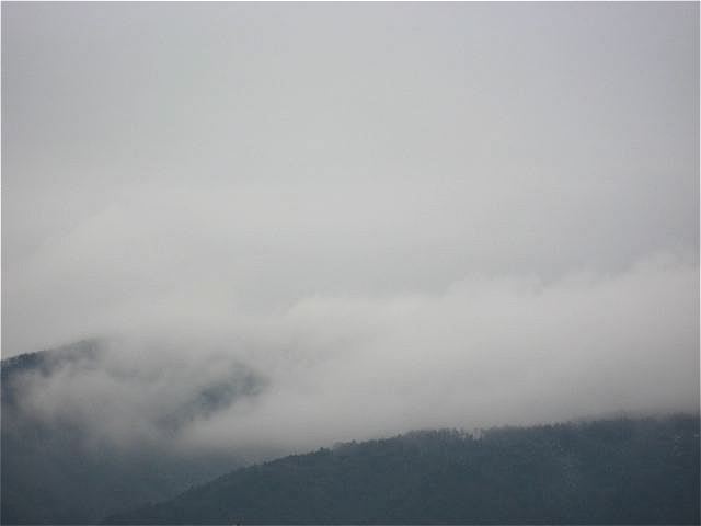 画像: 寒〜いです。