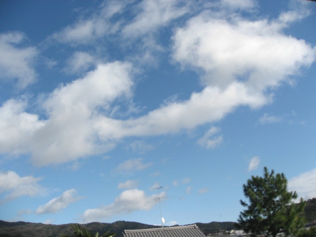 画像: いいお天気、
