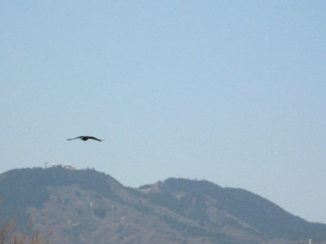 画像: 山を撮ろうとしたら