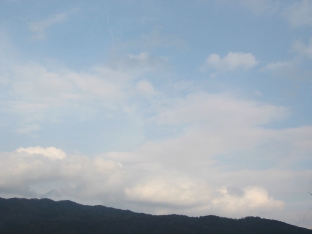 画像: ここのところ暖かいので