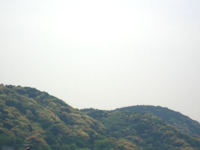 画像: 今日も晴れでした。