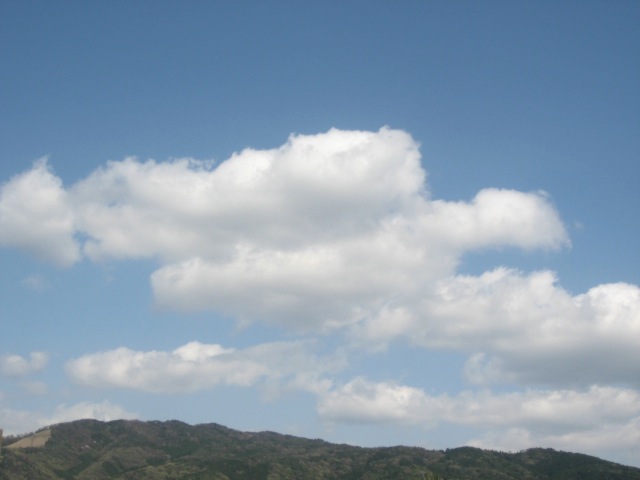 画像: お天気は良くなりました。