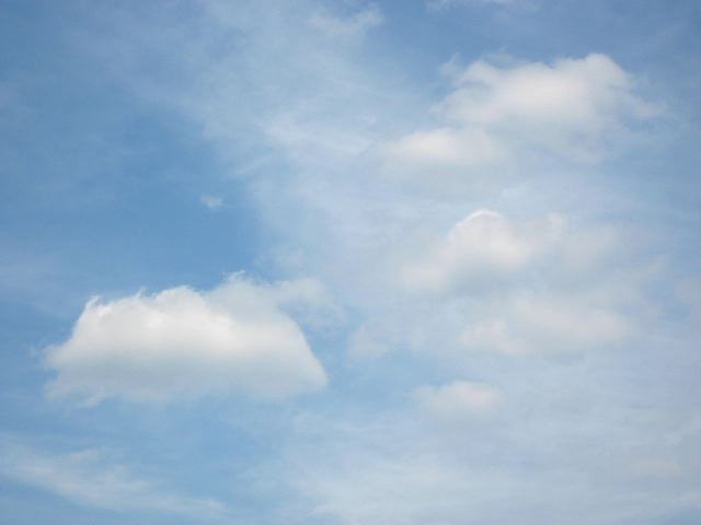 画像: 暑かったです。