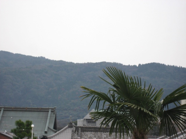 画像: 暖かくて曇り、