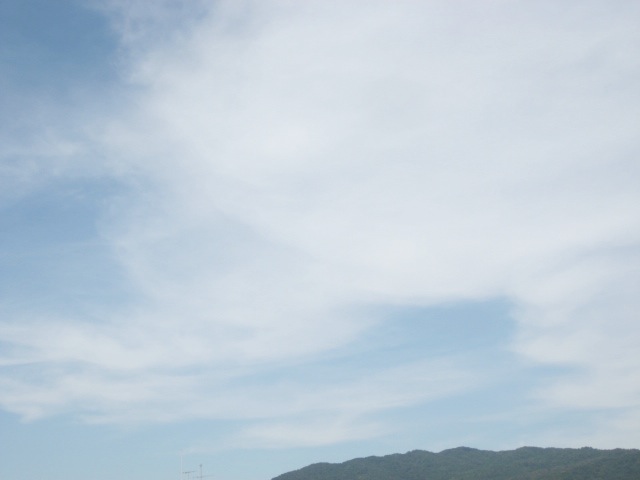 画像: おお〜きな