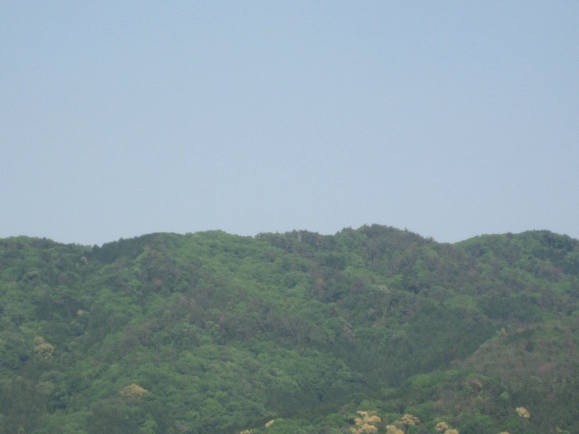 画像: おだやかなお天気