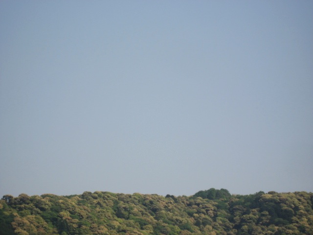 画像: 急に真夏到来。。