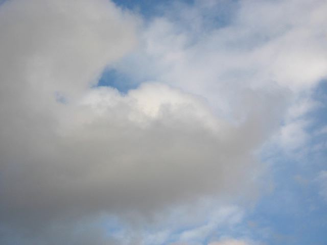 画像: 今日もいいお天気