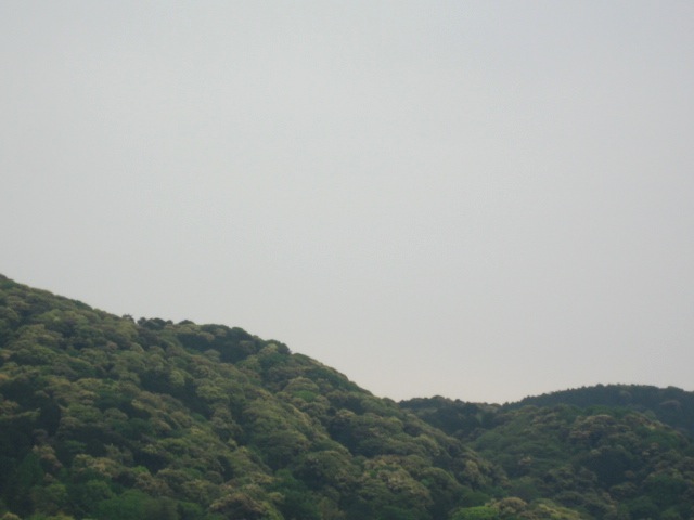 画像: 曇りで