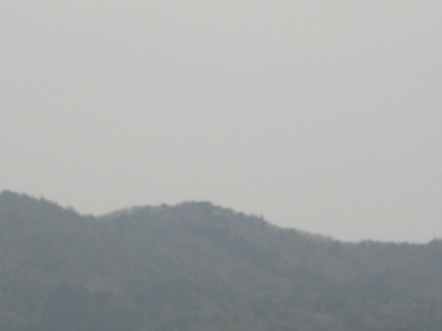画像: 曇っていました。