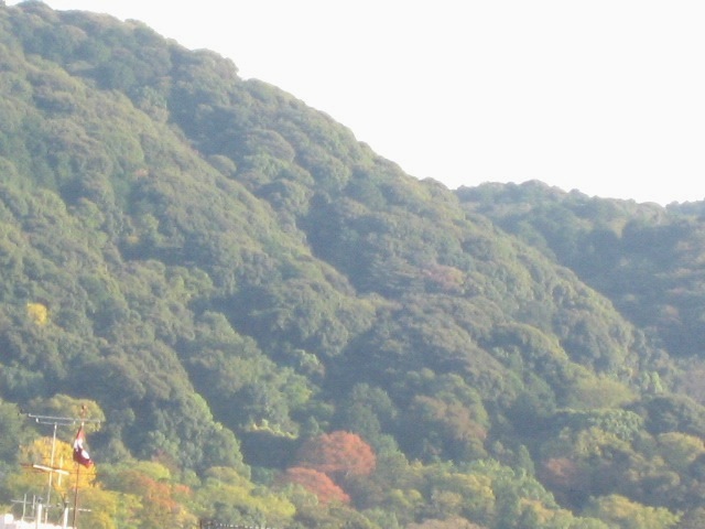 画像: 良いお天気で、