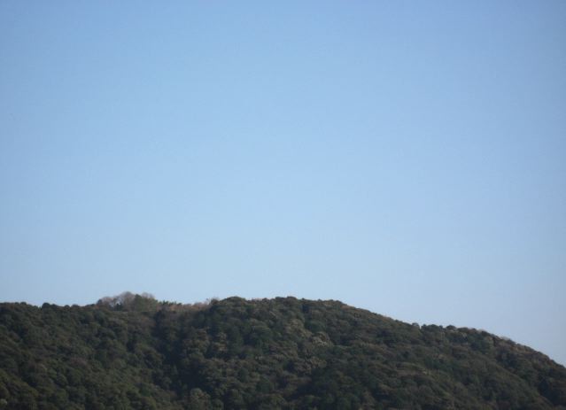 画像: お天気回復。