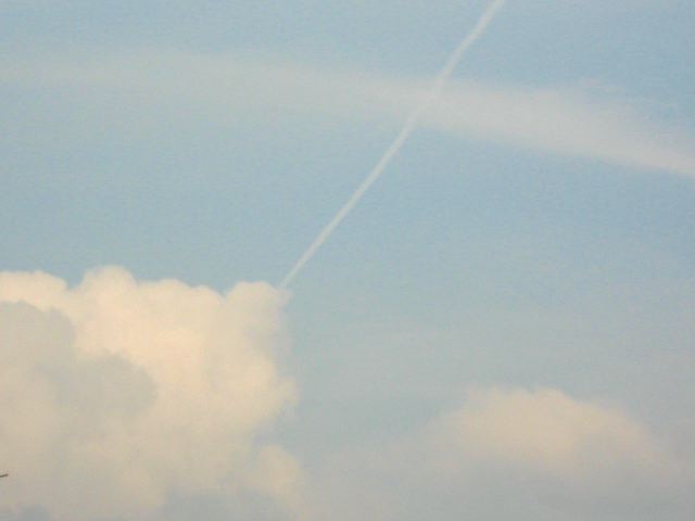 画像: 昼間は晴れて