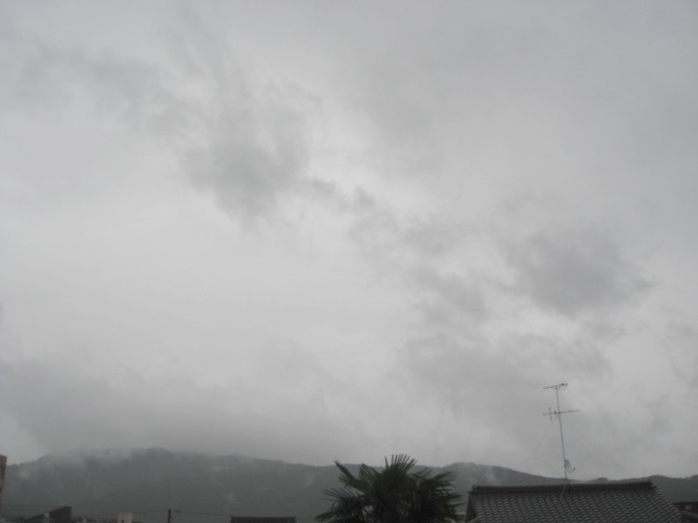 画像: 雨はかなり降りました。