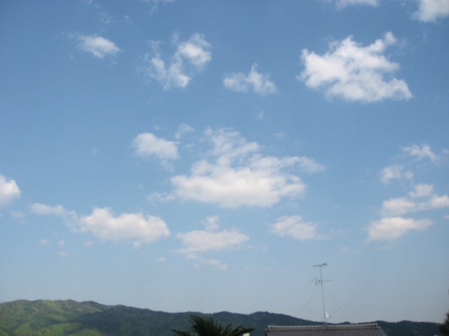 画像: 暖かくて