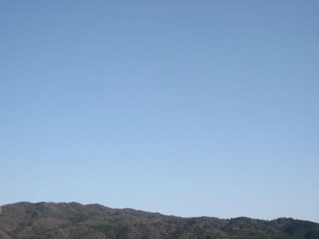 画像: ひさしぶりに