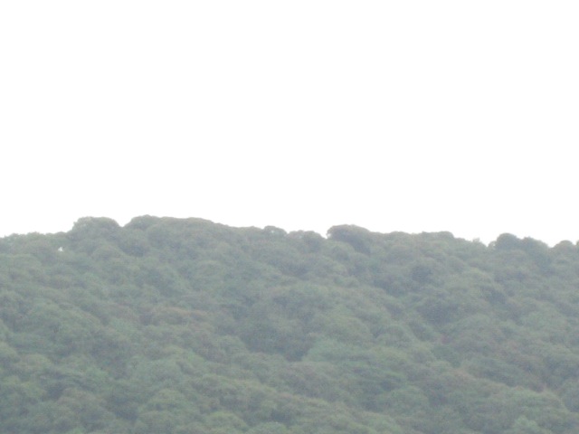 画像: 気温が下がるくらいの