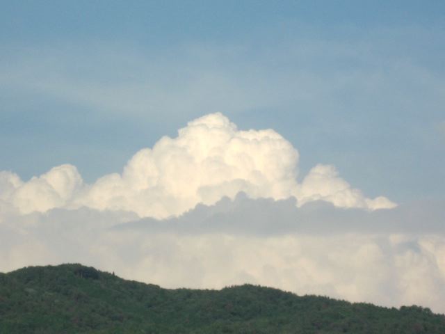 画像: 風があったので