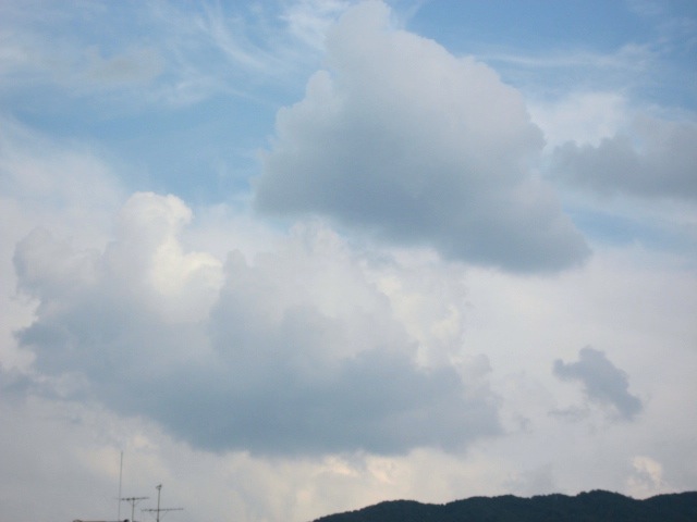 画像: まだなんとなく