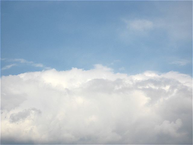 画像: 暖かかったですね。