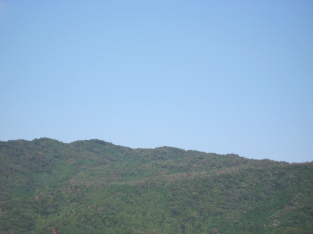 画像: 涼しかったです。