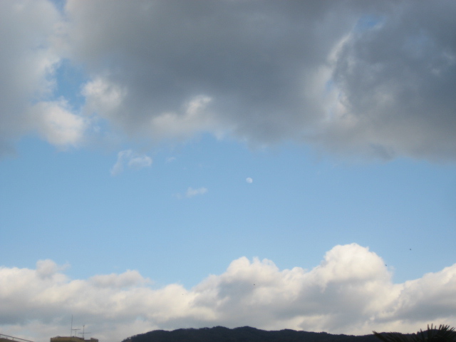 画像: 雪は溶けました。