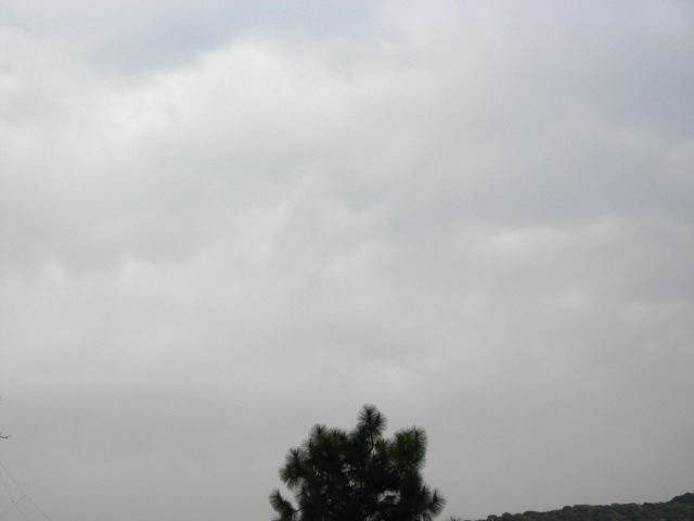 画像: 雨でしたね。。