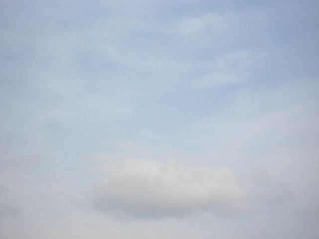 画像: 春ですねえ。