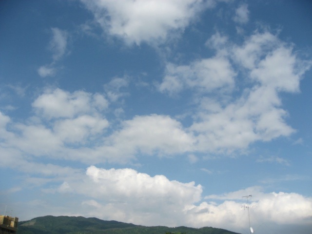 画像: 昼間は