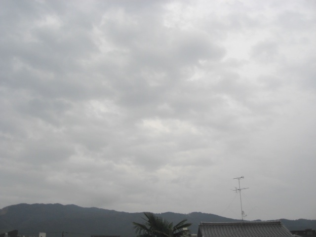 画像: 雨です。