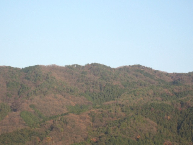 画像: 陽がさしているときに