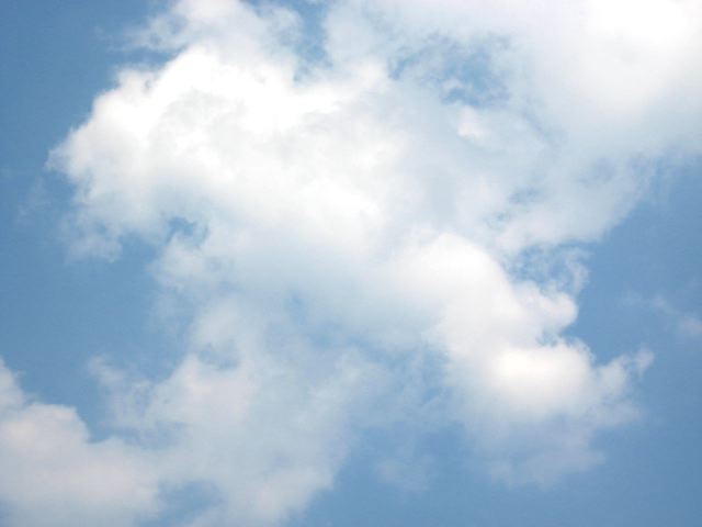 画像: 今日は風がありました。