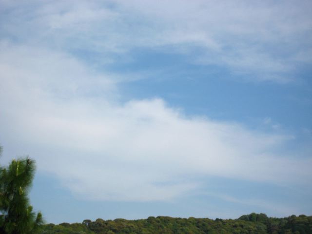 画像: おだやかで