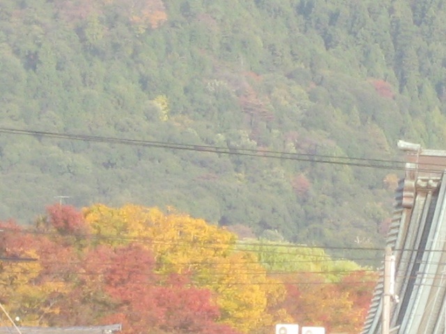 画像: ぐ〜っとズームすると