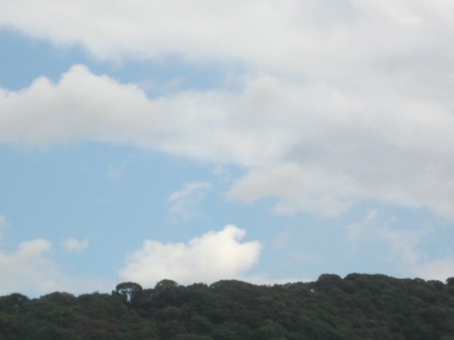 画像: 曇っています。