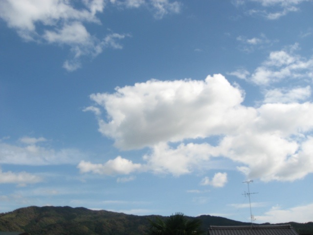 画像: よく晴れて、