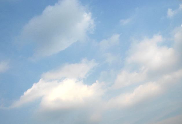 画像: 完全に真夏です。