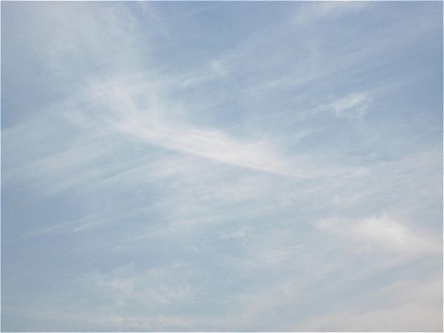 画像: 今日も暖かく、