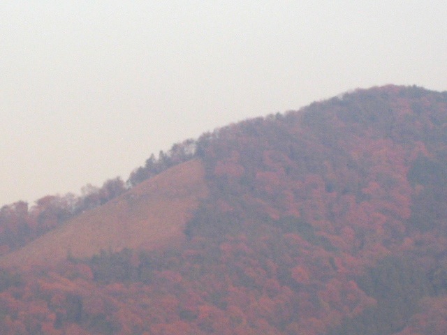 画像: 燃える秋〜