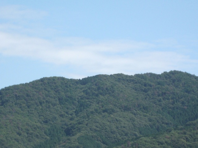 画像: 晴れました。